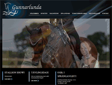Tablet Screenshot of gunnarlunda.com